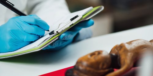 Sistemi di certificazione e accreditamento