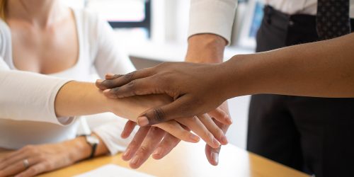 Supporto istituzionale